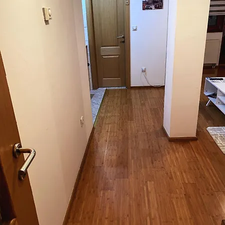 Apartman Ljubica * パレ